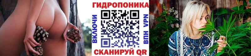 даркнет какой сайт  Дзержинск  Каннабис OG Kush 